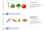 crear infografías y materiales visuales sobre nutrición